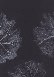 Texturas de folhas monocromáticas