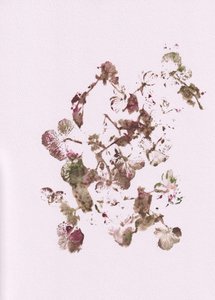 Imagens botânicas em tons suaves de Maira Ribena