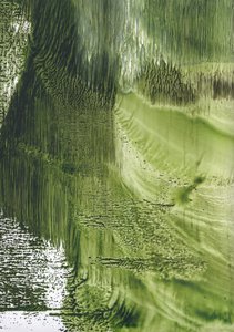 Fluxo Verde Orgânico de Maira Ribena
