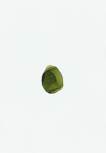 Fluido Verde Orgânico