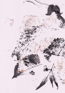 Folhas de Tinta Serenas de Maira Ribena