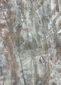 Formas naturais subtis de Maira Ribena