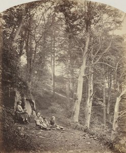 Um caminho através de uma floresta, c. 1860. de Major Francis Gresley