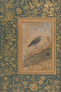 Ursa Maior e Outras Aves, Folio do Álbum Shah Jahan, recto: ca. 1610-15.