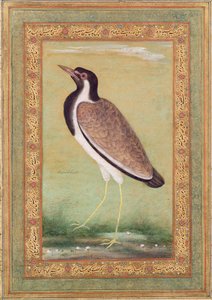 Abibe indiano, c.1800