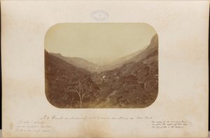 A valle do Andarahy visto de cima das alternas da Boa Vista