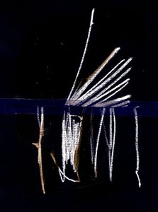 Devido, 2018 (colagem) de Marco Campedelli