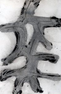 Ramas, 2014 (tinta sobre papel) de Marco Campedelli