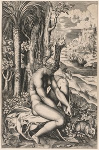 Vênus Ferido por um Espinho de Rosas, c. 1516 de Marco Dente