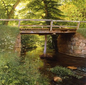 Um riacho na floresta com uma ponte de madeira de Marcus Bech Fritz
