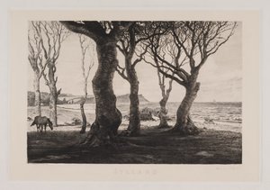 paisagem da Jutlândia de Marcus Bech Fritz