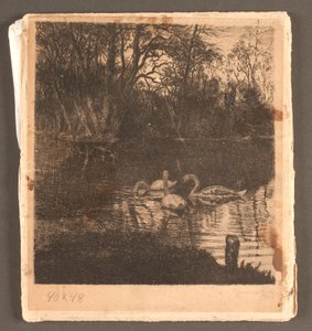 Motivo com cisnes. Jardim Frederiksberg de Marcus Bech Fritz
