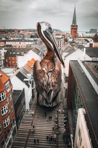 Cidade do Pelicano Gigante