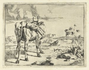 A vaca a lamber-se a si própria
Bovinos e suínos (título da série)