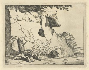 Cabeça de bovino atrás de rocha
Bovinos e suínos (título da série) de Marcus de Bye