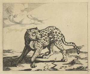 Leopard, de pé à esquerda, cabeça para a direita Leopardos (título da série) de Marcus de Bye