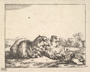 Ovelhas, de um conjunto de 16 pratos, 1664. de Marcus de Bye