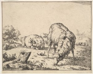 Ovelha, de um conjunto de 16 placas, 1664. de Marcus de Bye