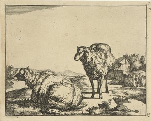 Ovelhas em pé e deitadas com fazenda ao fundo Carneiro (título da série) de Marcus de Bye