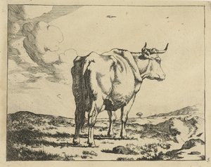 Vaca em pé, vista por trás
Bovinos (título da série)