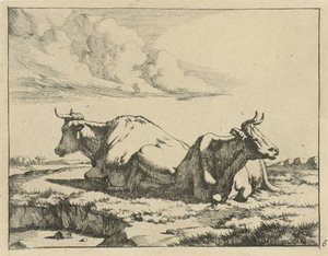 Duas vacas reclináveis
Vacas e ovelhas (título da série) de Marcus de Bye