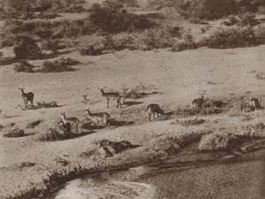 O buraco de água