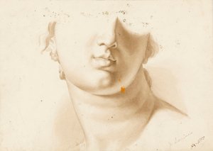 Estudo da metade inferior de um rosto humano, possivelmente uma estátua de Margaret Louisa Herschel