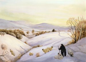 Ovelhas no cume de Margaret Loxton