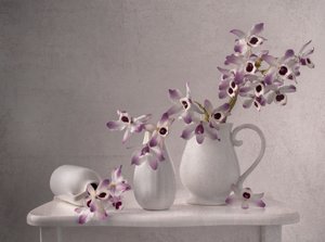 Natureza morta com orquídeas delicadas