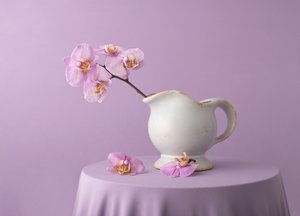 Orquídeas elegantes em tons de lavanda