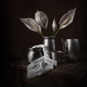Lírios da Paz Elegantes de Margareth Perfoncio