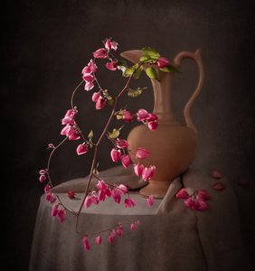 Natureza morta rosa elegante de Margareth Perfoncio