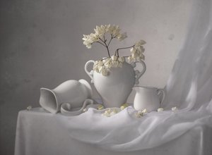 Natureza morta elegante em branco de Margareth Perfoncio
