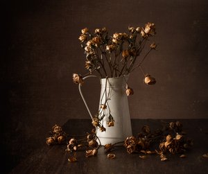 Natureza morta com rosas secas da Moody