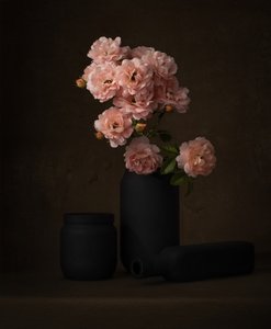 Rosas Rosa Melancólico de Margareth Perfoncio