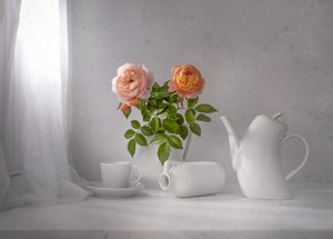 Chá de Rosa Matinal de Margareth Perfoncio