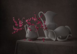 Flores cor-de-rosa e jarros brancos de Margareth Perfoncio