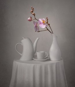 Hora do Chá da Orquídea Rosa de Margareth Perfoncio