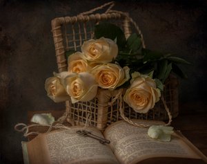 Rosas românticas e um livro antigo
