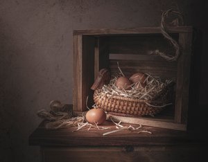 Ovos em Cesto Rústico de Pato de Margareth Perfoncio