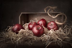 Maçãs Rústicas da Colheita de Margareth Perfoncio