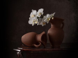 Natureza morta com orquídeas brancas