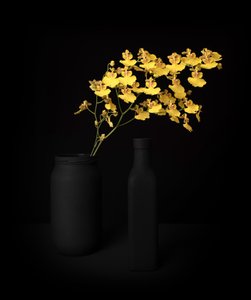 Natureza morta com orquídea amarela de Margareth Perfoncio