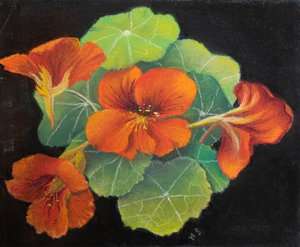 Chagas, 2020 (pastel) de Margo Starkey