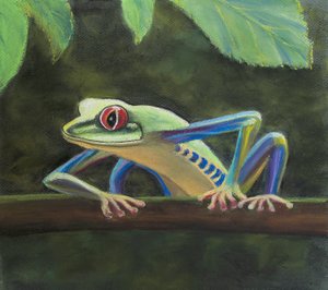 Sapo de árvore, 2020 (pastel) de Margo Starkey