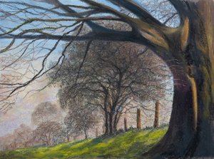 Árvores sopradas pelo vento ... Shroesbury, 2020 (pastel) de Margo Starkey