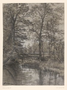 Lagoa na floresta de Maria Bilders van Bosse (signed by artist)