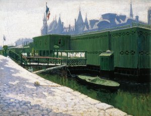 Banhos verdes em Paris de Maria Pidelaserra Brias