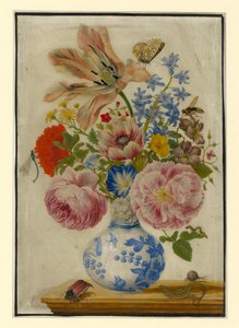Vaso chinês com rosas, papoilas e cravos de Maria Sibylla Merian