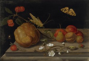 Natureza morta com frutas, um gafanhoto e uma borboleta, entre 1670 e 1680. de Maria Sibylla Merian